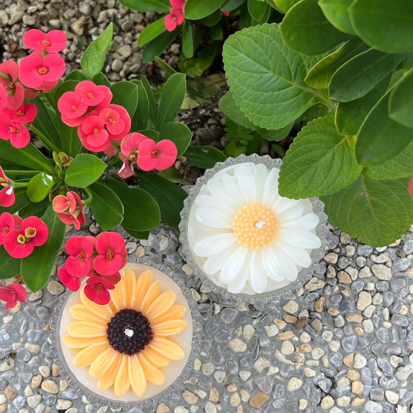 Sunflower Candles 🌼✨